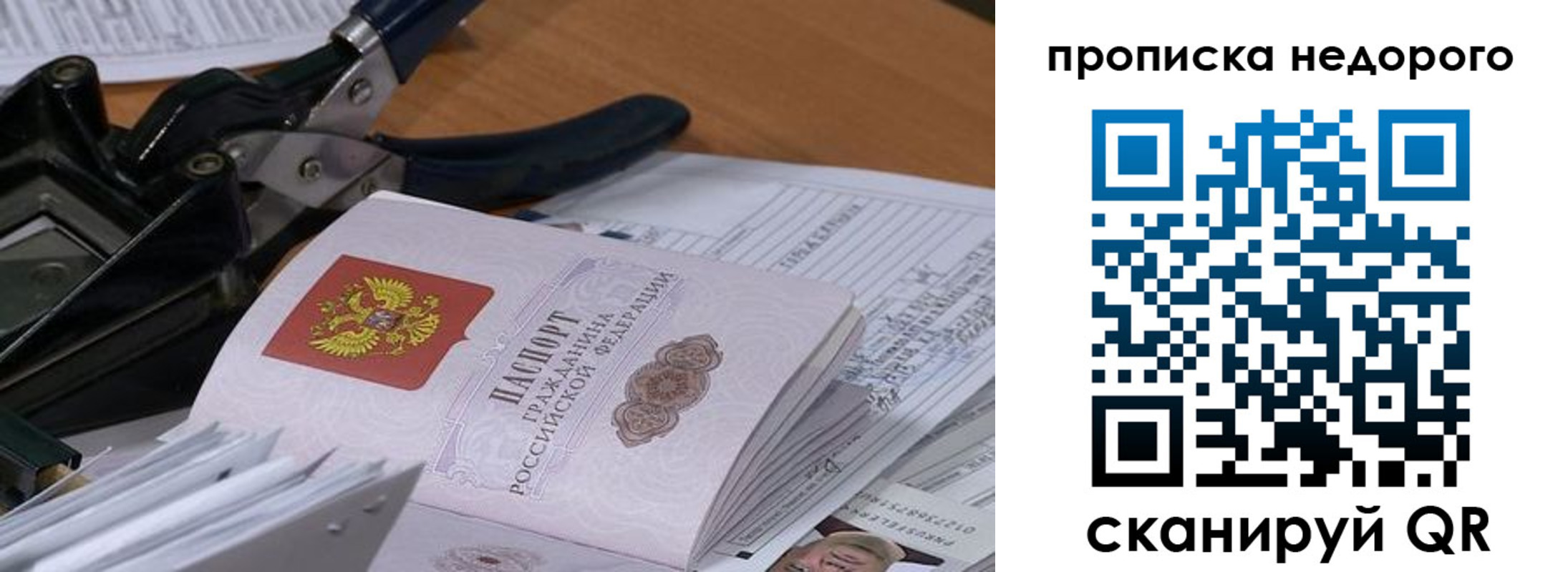 где прописаться в Ленинградской области