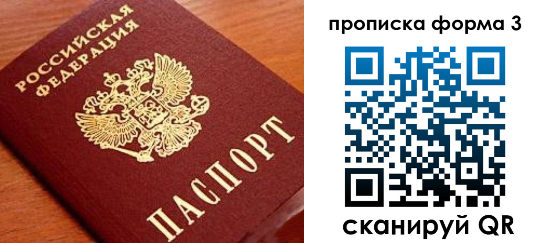 миграционный учет в Ленинградской области